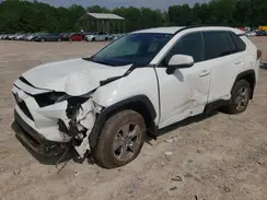 2T3RWRFV0RW251171 2024 TOYOTA RAV 4