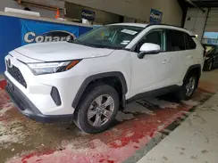 2T3RWRFV0SW253251 2025 TOYOTA RAV 4