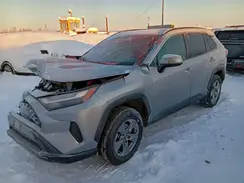 2T3RWRFV0SW255341 2025 TOYOTA RAV 4