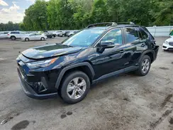 2T3RWRFV0SW261074 2025 TOYOTA RAV 4