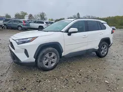 2T3RWRFV0SW262757 2025 TOYOTA RAV 4