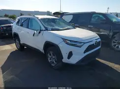 2T3RWRFV0SW282054 2025 TOYOTA RAV 4
