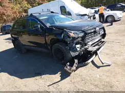 2T3RWRFV1KW023170 2019 TOYOTA RAV 4