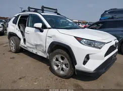 2T3RWRFV1KW041300 2019 TOYOTA RAV 4
