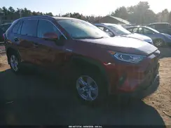 2T3RWRFV1LW064562 2020 TOYOTA RAV 4