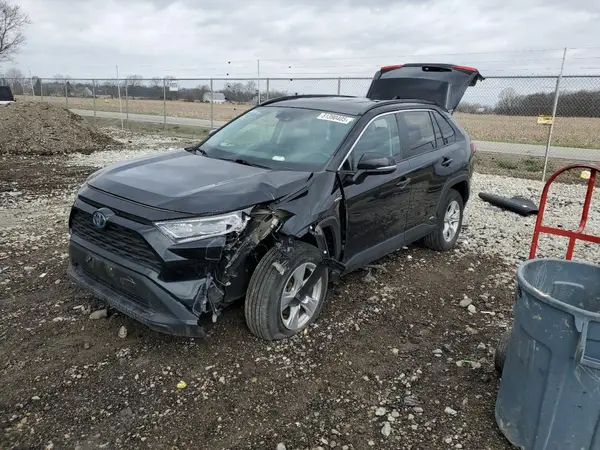 2T3RWRFV1LW093981 2020 TOYOTA RAV 4 - Image 1