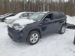 2T3RWRFV1MW109596 2021 TOYOTA RAV 4