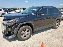 2T3RWRFV1NW134743 2022 TOYOTA RAV 4