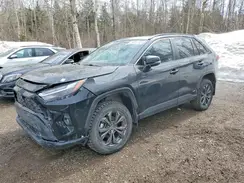 2T3RWRFV1PW155045 2023 TOYOTA RAV 4