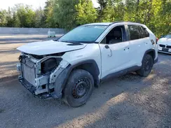 2T3RWRFV1PW156180 2023 TOYOTA RAV 4