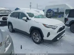 2T3RWRFV1PW165512 2023 TOYOTA RAV 4