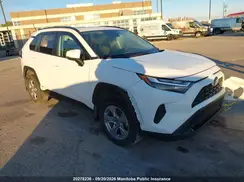 2T3RWRFV1PW167728 2023 TOYOTA RAV 4