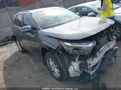 2T3RWRFV1PW169754 2023 TOYOTA RAV 4