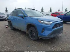 2T3RWRFV1PW171021 2023 TOYOTA RAV 4
