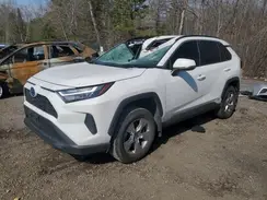 2T3RWRFV1PW174713 2023 TOYOTA RAV 4