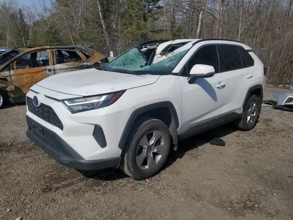 2T3RWRFV1PW174713 2023 TOYOTA RAV 4 - Image 1