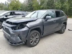 2T3RWRFV1PW177546 2023 TOYOTA RAV 4