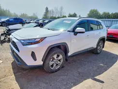 2T3RWRFV1PW181242 2023 TOYOTA RAV 4
