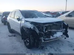 2T3RWRFV1PW181533 2023 TOYOTA RAV 4