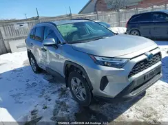 2T3RWRFV1PW184934 2023 TOYOTA RAV 4