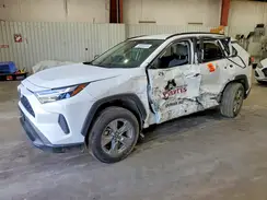 2T3RWRFV1RW198237 2024 TOYOTA RAV 4