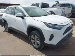 2T3RWRFV1RW199646 2024 TOYOTA RAV 4
