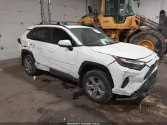 2T3RWRFV1RW201329 2024 TOYOTA RAV 4