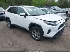 2T3RWRFV1RW203002 2024 TOYOTA RAV 4