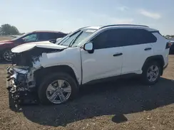 2T3RWRFV1RW206918 2024 TOYOTA RAV 4