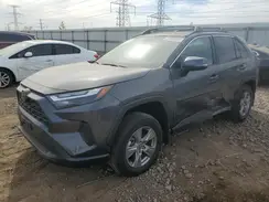 2T3RWRFV1RW216784 2024 TOYOTA RAV 4