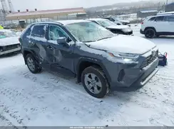 2T3RWRFV1RW225193 2024 TOYOTA RAV 4