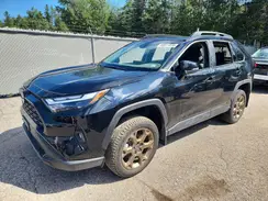 2T3RWRFV1RW225369 2024 TOYOTA RAV 4
