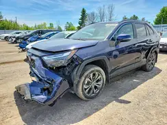 2T3RWRFV1RW225680 2024 TOYOTA RAV 4