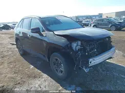 2T3RWRFV1RW229194 2024 TOYOTA RAV 4