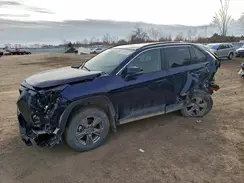 2T3RWRFV1RW230037 2024 TOYOTA RAV 4