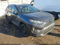 2T3RWRFV1RW231317 2024 TOYOTA RAV 4