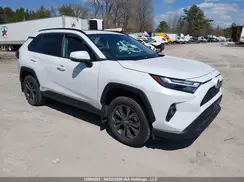 2T3RWRFV1RW233360 2024 TOYOTA RAV 4
