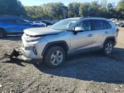 2T3RWRFV1RW235304 2024 TOYOTA RAV 4