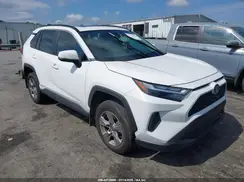 2T3RWRFV1RW241202 2024 TOYOTA RAV 4