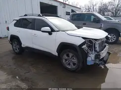 2T3RWRFV1RW246657 2024 TOYOTA RAV 4