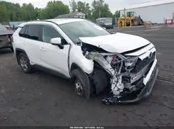 2T3RWRFV1RW248005 2024 TOYOTA RAV 4