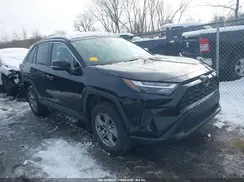 2T3RWRFV1SW253890 2025 TOYOTA RAV 4
