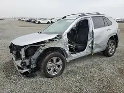 2T3RWRFV1SW257048 2025 TOYOTA RAV 4