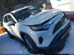 2T3RWRFV1SW266154 2025 TOYOTA RAV 4