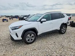 2T3RWRFV1SW267384 2025 TOYOTA RAV 4