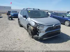 2T3RWRFV2LW100517 2020 TOYOTA RAV 4