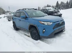 2T3RWRFV2PW154504 2023 TOYOTA RAV 4