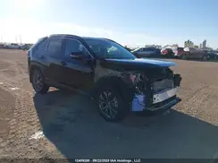 2T3RWRFV2PW170492 2023 TOYOTA RAV 4