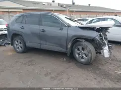 2T3RWRFV2PW180634 2023 TOYOTA RAV 4