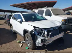 2T3RWRFV2RW194018 2024 TOYOTA RAV 4